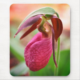 Vibrant roze dame Slipper Orchid Flower Muismat