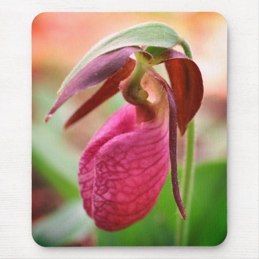 Vibrant roze dame Slipper Orchid Flower Muismat (Voorkant)