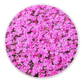 Vibrant Roze Floral Keramische Knop (Voorkant)