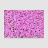 Vibrant Roze Floral Tissuepapier (Voorkant)