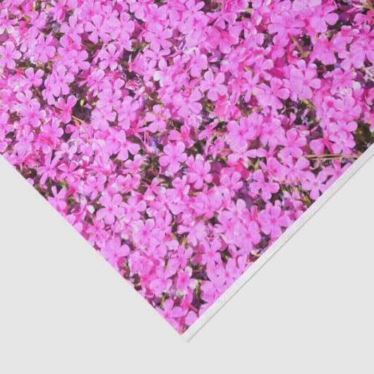 Vibrant Roze Floral Tissuepapier (Detail)