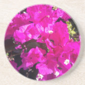 Vibrant Roze Floral Zandsteen Onderzetter (Voorkant)
