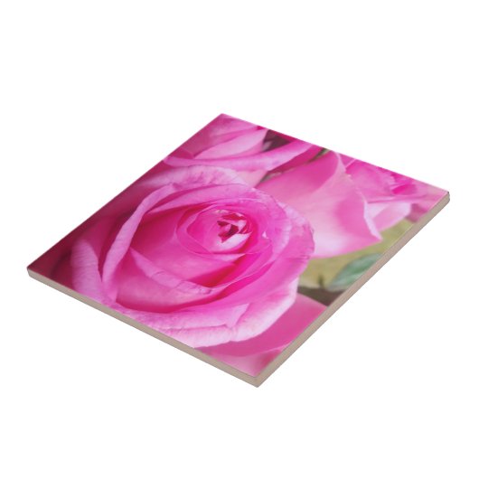 Vibrant roze rozen tegeltje (Zijkant)