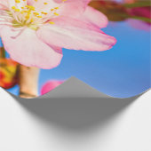 Vibrant roze Sakura bloesems en Clear Blue Sky Cadeaupapier (Hoek)