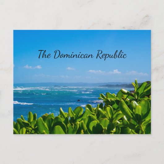 Vibrant Shores Briefkaart (Voorkant)