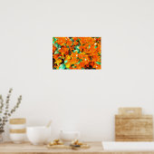Vibrant Sinaasappel Bougainvillea Flowers Poster (Keuken)