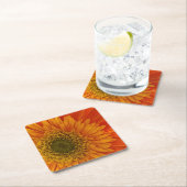 Vibrant Sinaasappel Gerbera Daisy Kartonnen Onderzetters (Insitu)