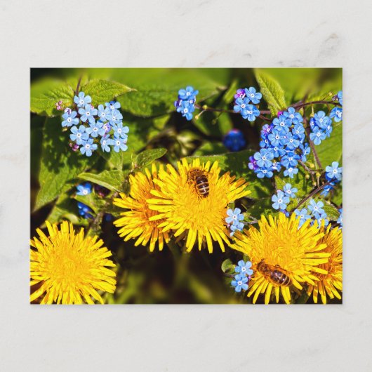 Vibrant Spring Floral Dandelion Bee Flowers Briefkaart (Voorkant)
