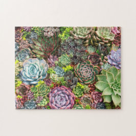 Vibrant Succulent Garden Legpuzzel