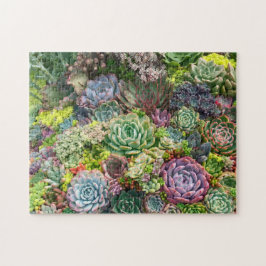 Vibrant Succulent Garden Legpuzzel