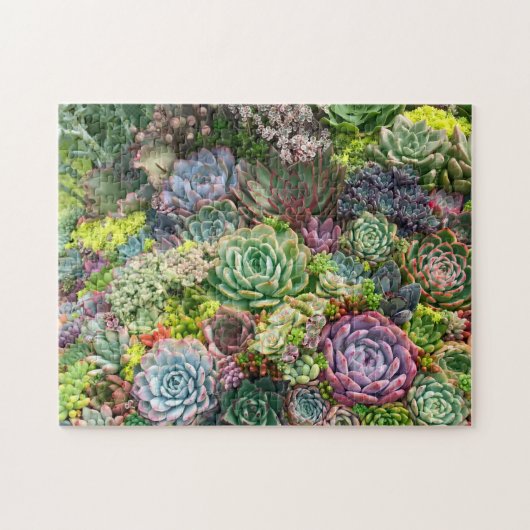 Vibrant Succulent Garden Legpuzzel (Horizontaal)