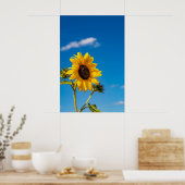 Vibrant Sunflower Bloom Poster (Keuken)