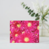 Vibrant trailing ice plant briefkaart (Staand voorkant)