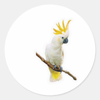 Vibrant Tropical Cockatoo - Exotic Indonesian Parr Ronde Sticker