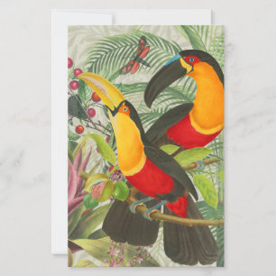 Vibrant Tropical Toucan Birds Art Exotic Oerwoud