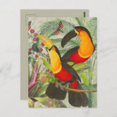 Vibrant Tropical Toucan Birds Art Exotic Oerwoud Briefkaart (Voorkant / Achterkant)
