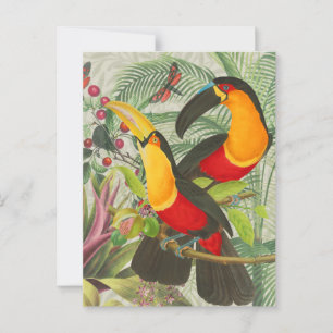 Vibrant Tropical Toucan Birds Art Exotic Oerwoud Briefkaart
