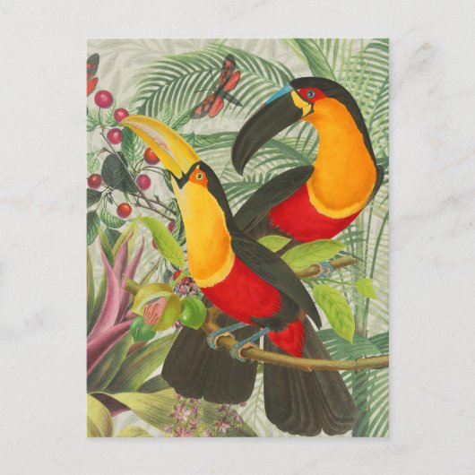 Vibrant Tropical Toucan Birds Art Exotic Oerwoud Briefkaart (Voorkant)