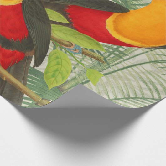 Vibrant Tropical Toucan Birds Art Exotic Oerwoud Cadeaupapier (Hoek)