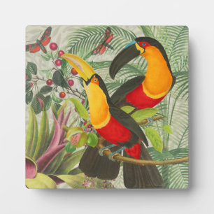 Vibrant Tropical Toucan Birds Art Exotic Oerwoud Fotoplaat