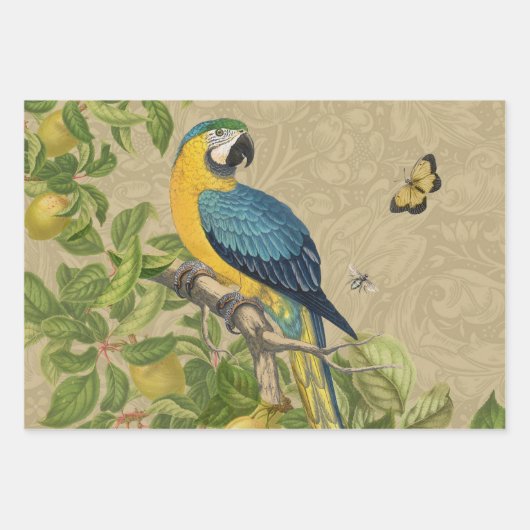 Vibrant Tropical Toucan Birds Art Exotic Oerwoud Inpakpapier Vel (Voorkant 3)