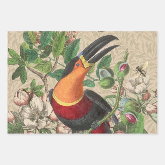Vibrant Tropical Toucan Birds Art Exotic Oerwoud Inpakpapier Vel (Voorkant 2)