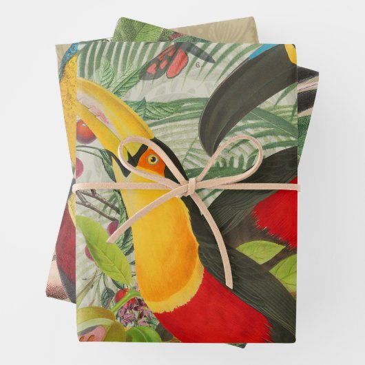 Vibrant Tropical Toucan Birds Art Exotic Oerwoud Inpakpapier Vel (In situ)