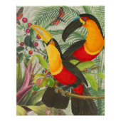 Vibrant Tropical Toucan Birds Art Exotic Oerwoud Perfect Poster (Voorkant)