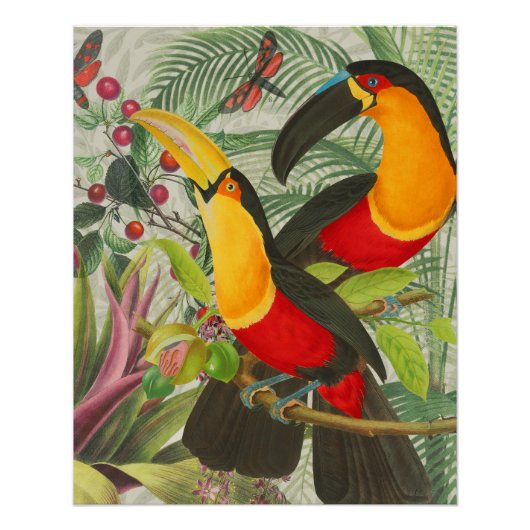 Vibrant Tropical Toucan Birds Art Exotic Oerwoud Perfect Poster (Voorkant)