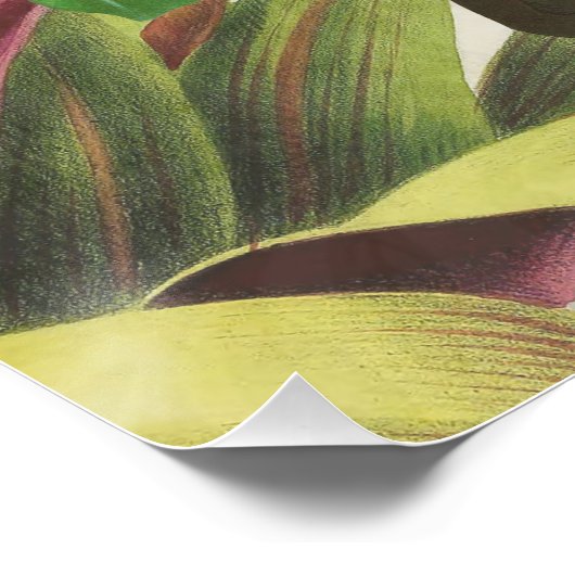 Vibrant Tropical Toucan Birds Art Exotic Oerwoud Perfect Poster (Hoek)