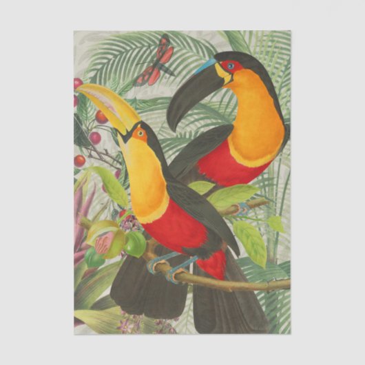 Vibrant Tropical Toucan Birds Art Exotic Oerwoud Tissuepapier (Voorkant)