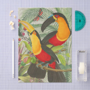 Vibrant Tropical Toucan Birds Art Exotic Oerwoud Tissuepapier