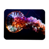 Vibrant Tropical Undersea Jellyfish Magneet (Horizontaal)