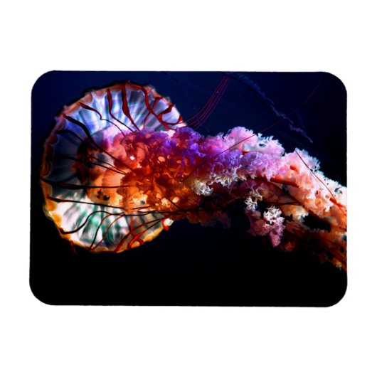 Vibrant Tropical Undersea Jellyfish Magneet (Horizontaal)