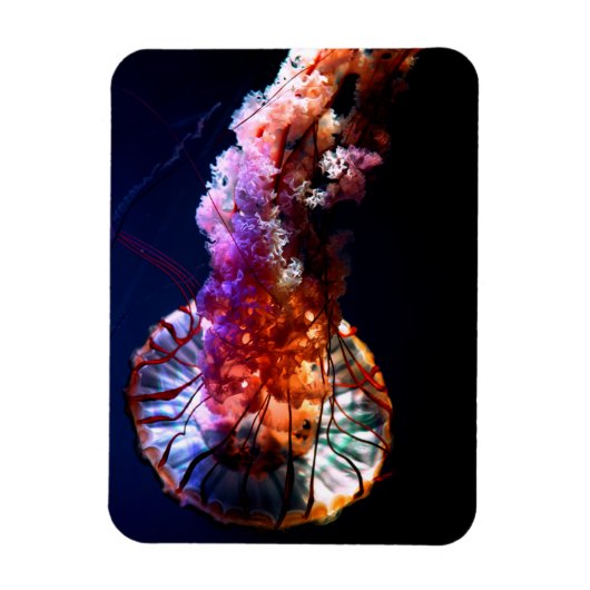 Vibrant Tropical Undersea Jellyfish Magneet (Verticaal)