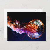 Vibrant tropische onderzeese kwal briefkaart (Voorkant / Achterkant)