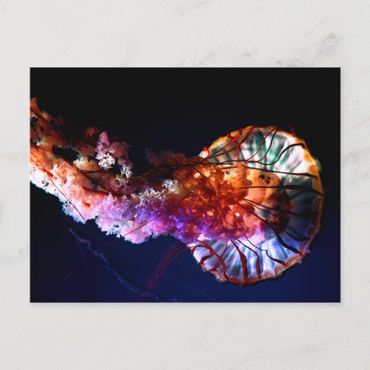 Vibrant tropische onderzeese kwal briefkaart (Voorkant)