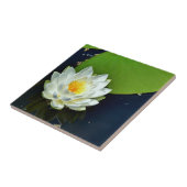 Vibrant White Water Lily Foto Tegeltje (Zijkant)