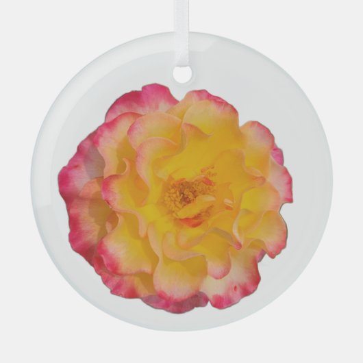 Vibrant Yellow and Pink Rose Glas Ornament (Voorkant)