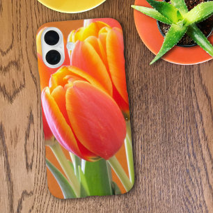 Vibrant Yellow Edged Oranje Tulps foto iPhone 16 Plus Hoesje