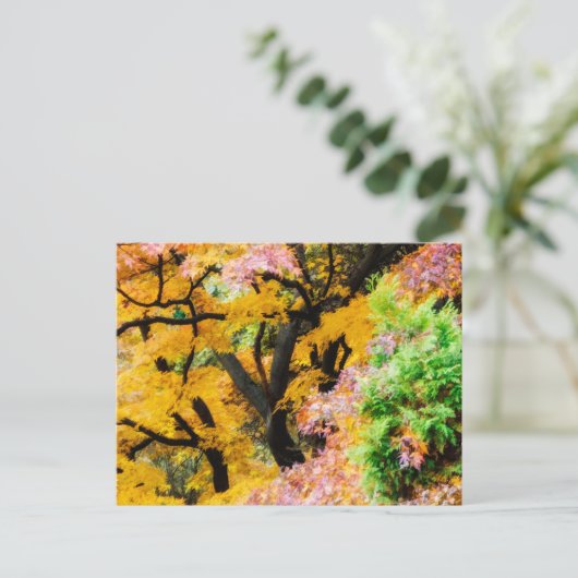 Vibrant Zen Garden Briefkaart (Staand voorkant)