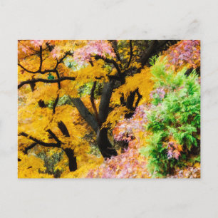 Vibrant Zen Garden Briefkaart