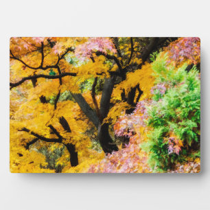 Vibrant Zen Garden Fotoplaat