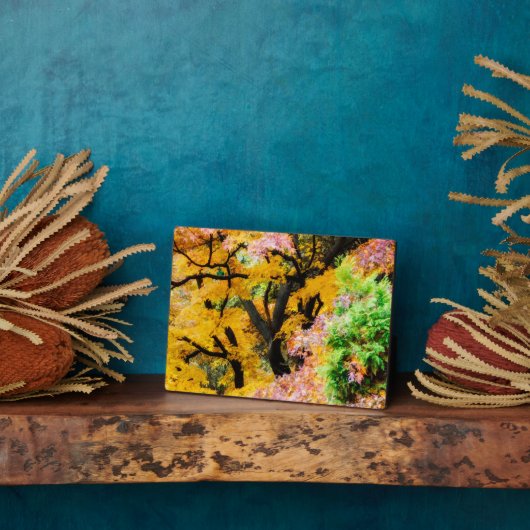 Vibrant Zen Garden Fotoplaat (Zijkant)