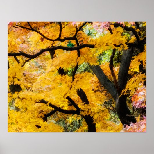 Vibrant Zen Garden Poster (Voorkant)