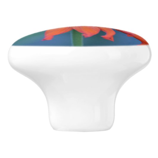 Vibrant Zinnia Ceramic Knob Keramische Knop (Zijkant)