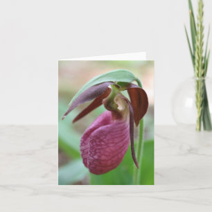 Vibrante Dame Slipper Bloem Fotografie  Notitiekaartje