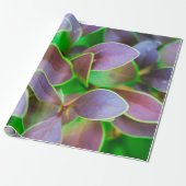 Vibrantgroene en paarse bladeren cadeaupapier (Uitgerold)