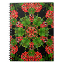 viburnum bessen caleidoscoop