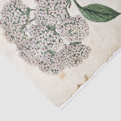 Viburnum Botanical Gold Dragonfly White Flower Tissuepapier (Detail)